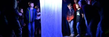 Nachtfalterbeobachtung